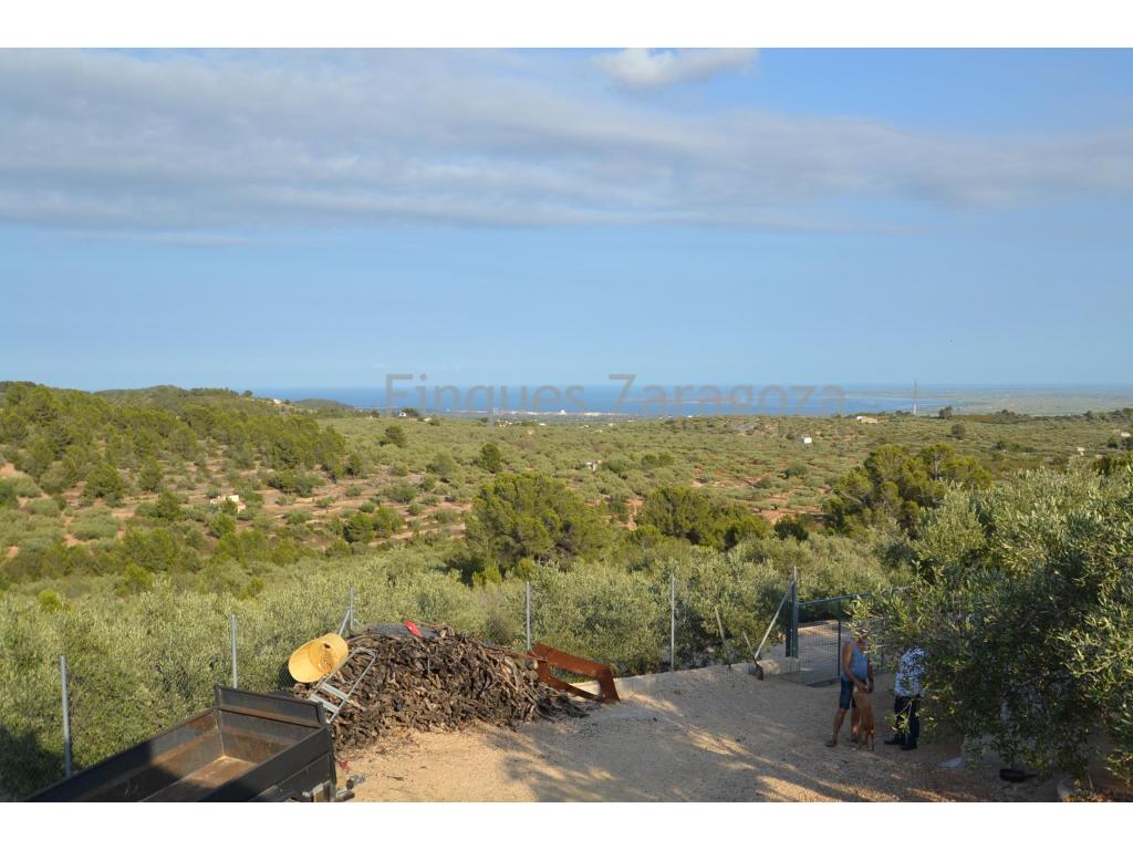 Rustic villa of 12'000m² with olive and carob trees. Situated in the municipality of the historical main town of Tortosa, in Coll de l'Alba country area.This villa has unbeatable views over the sea and the Ebro Delta as well as a farm building in its premises.